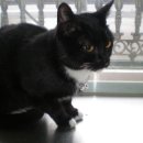 은성약국 이미지