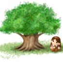 김*종 - 안양시 동안구 관평로212번길 | 김*종