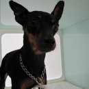 방주종합동물병원 이미지