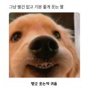 뽑아지트 | 붉게 물드는 길