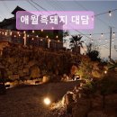 진수농장 | 제주도 흑돼지 삼겹 목살 맛집 ! 애월흑돼지 대담 제주 흑돼지의 진수