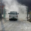 용인양돈 이미지