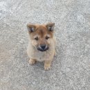 동진동물병원 이미지