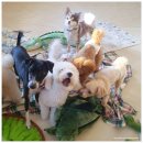 엄마 잘 다녀와 이미지