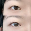파리바게뜨 삼산중앙점 | [속눈썸펌 후기] 울산 삼산 라무르브로우 솔직 리뷰