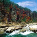 수달수영장 앞 이미지