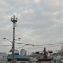 중앙로타리-축협앞 | 여수 이순신광장 맛집 로타리분식, 딸기모찌 삼대옥 본점 딸기아이스크림 내돈내산 리뷰