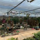 미륵농장 이미지