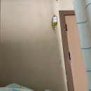 건강한윌병원 | [방문후기] 울산 건강한 윌병원 입원 치료 후기