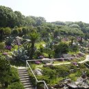 장사도해상공원 이미지