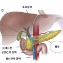 [암 희망 수기 9회] 간암 극복사례 이미지