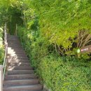 죽전 중앙공원사거리(공원) 이미지