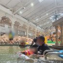 하이월드 | 정선 하이원리조트 워터파크 하이원 워터월드 47개월 아기랑 이용후기