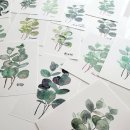 수채화와 디지털 보태니컬 드로잉 이미지