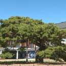 장수군조합공동사업법인