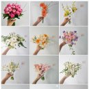 로지에떼 | 웨딩촬영 부케, 서브부케, 센터피스 (헤르비폴츠, 마리에, 떼르드에떼 후기)