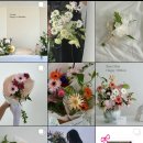 애월w스테이 | W.23 [제주스냅 최종 정리] 268만 5천원 // 아티크스냅, 드헤메샵 페페 FEFE, 부케 오하이스튜디오...