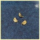 보일치과기공소 이미지