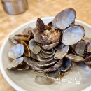 이가네바지락칼국수 | 7호선 면목역 맛집 이가네바지락칼국수 후기[칼국수&amp;콩국수]