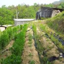 은행목장 이미지