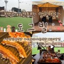 댕댕이네 | 천안 도그빌 후기｜애견동반 바베큐 식당 캠핑 분위기, 가격, 이용방법 정리 내돈내산