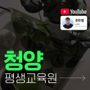 청양군 사회복지관 | 청양 평생교육원 사회복지사2급 주부도 1년 안에 취득한 방법