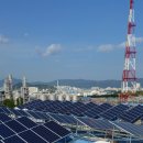 호성 태양광 발전소 이미지