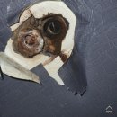 세월천로137번길 이미지