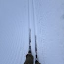 허숙희네 | [일상 기록] 2026 2월 / 풀 엑티비티 데이 / 크로스 컨트리 / 허스키 썰매 / 셀프 오로라 헌팅 / 핀란드...