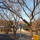 화도면사무소 이미지