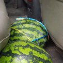 읍내4리회관경로당 이미지