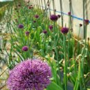 하청농장 이미지