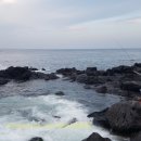 물반고기반PC 이미지