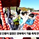 경북도 가을축제 열풍 뉴스메타TV 뉴스메타 설윤지기자 경북도청 이철우지사 이미지