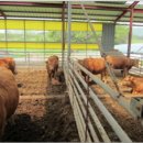 원덕목장 이미지