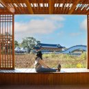 21세기 행정사 이미지