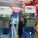 경북깐마늘 이미지