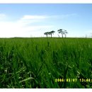 보리광장 이미지