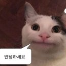 옥인피자 이미지