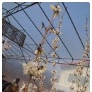 여난농장 이미지