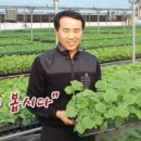 DK아그로 네이버블로그