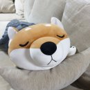 제임스 펜션 이미지