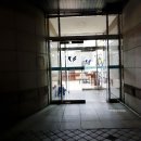 뉴 마로니에 이미지