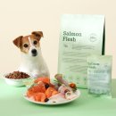 본아페티 이미지