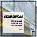 웹젠레드스타 | [도쿄 게임 여행] 서브컬처의 성지 아키하바라 여행기 (中 편)