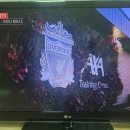 Ball TV 이미지
