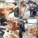 청계목장 이미지