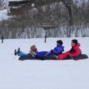 피나클랜드 이미지