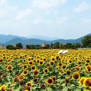 국보31호 이미지