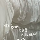 사미 이미지